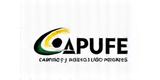 Logo CAPUFE Caminos y Puentes Federales